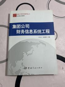 集团公司财务信息系统工程