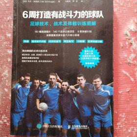 6周打造有战斗力的球队 足球技术 战术及体能训练图解
