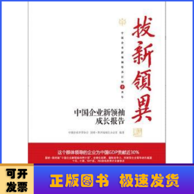 拔新领异 中国企业新领袖成长报告