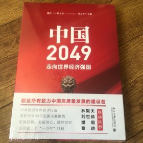 中国2049：走向世界经济强国（北大经管）