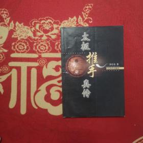 太極推手真?zhèn)? onerror=