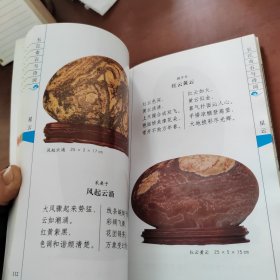 石纪：长江奇石与诗词