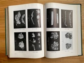 中药志（第二册）人民卫生版 16开精装