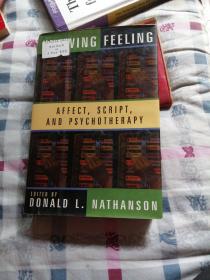 Knowing Feeling:Affect,Script,and Psychotherapy