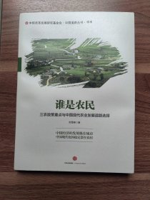 谁是农民：三农政策重点与中国现代农业发展道路选择