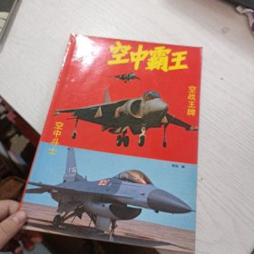 全球 空中霸王