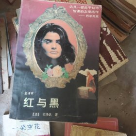 红与黑:一八三○年纪事:全译本