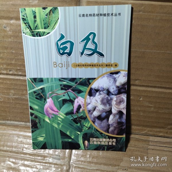 云南名特药材种植技术丛书：白芨