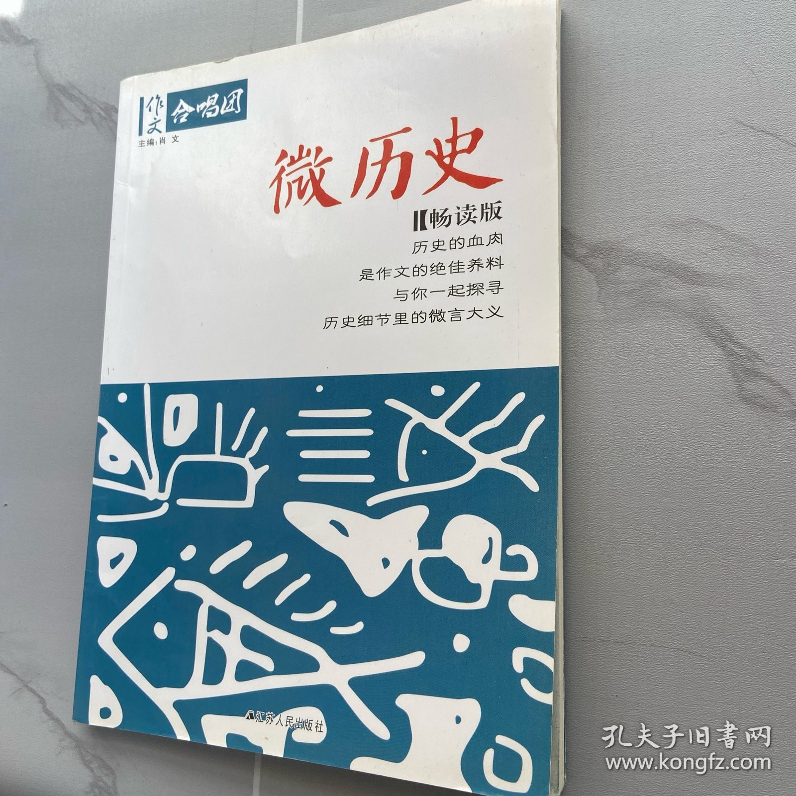 作文合唱团.微历史(畅读版)