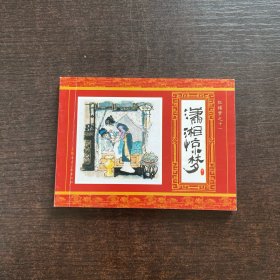 潇湘惊梦
