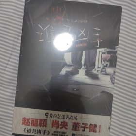 谁是凶手（赵丽颖、肖央、董子健主演，迷雾剧场《谁是凶手》同名原著小说）