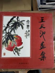 王天池画集，荣宝斋出版社1995年一版一印，定价128元，精装全一册，库存书品相挺好，仅售五折64元