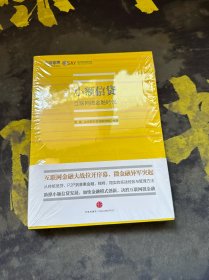 小额信贷：互联网微金融时代