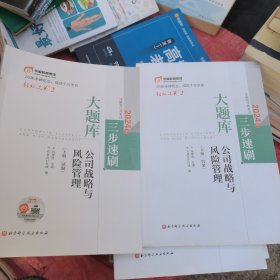 公司战略与风险管理2024