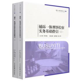 捕诉一体刑事检察实务基础指引（套装上下册）