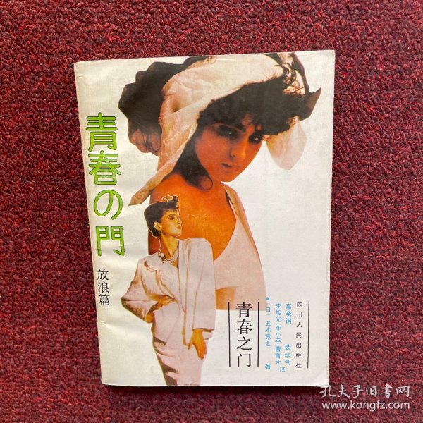 青春之门：放浪篇：青春长河系列——放浪篇