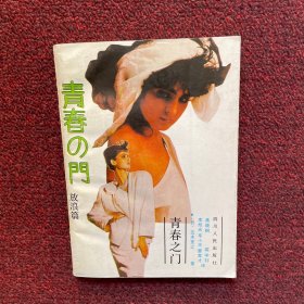 青春之门：放浪篇：青春长河系列——放浪篇