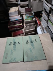 荡寇志(上下)