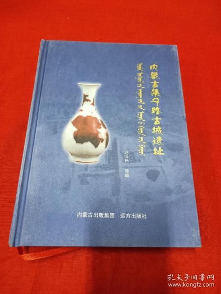 内蒙古集宁路古城遗址(仅2000册，古城遗址出土瓷器图彩版清晰)