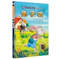 【正版书籍】国际大奖小说：兔子坡