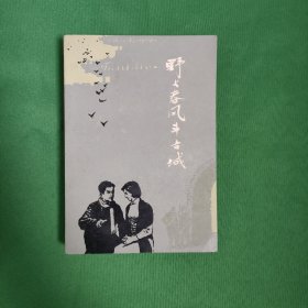 野火春风斗古城 红色文学 怀旧收藏 私藏美品 白纸铅印本 封面漂亮 新华书店库存书 品佳板正 四角尖尖