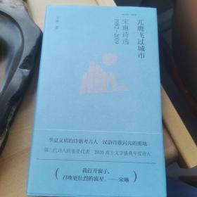 兀鹰飞过城市：宋琳诗选1982-2019