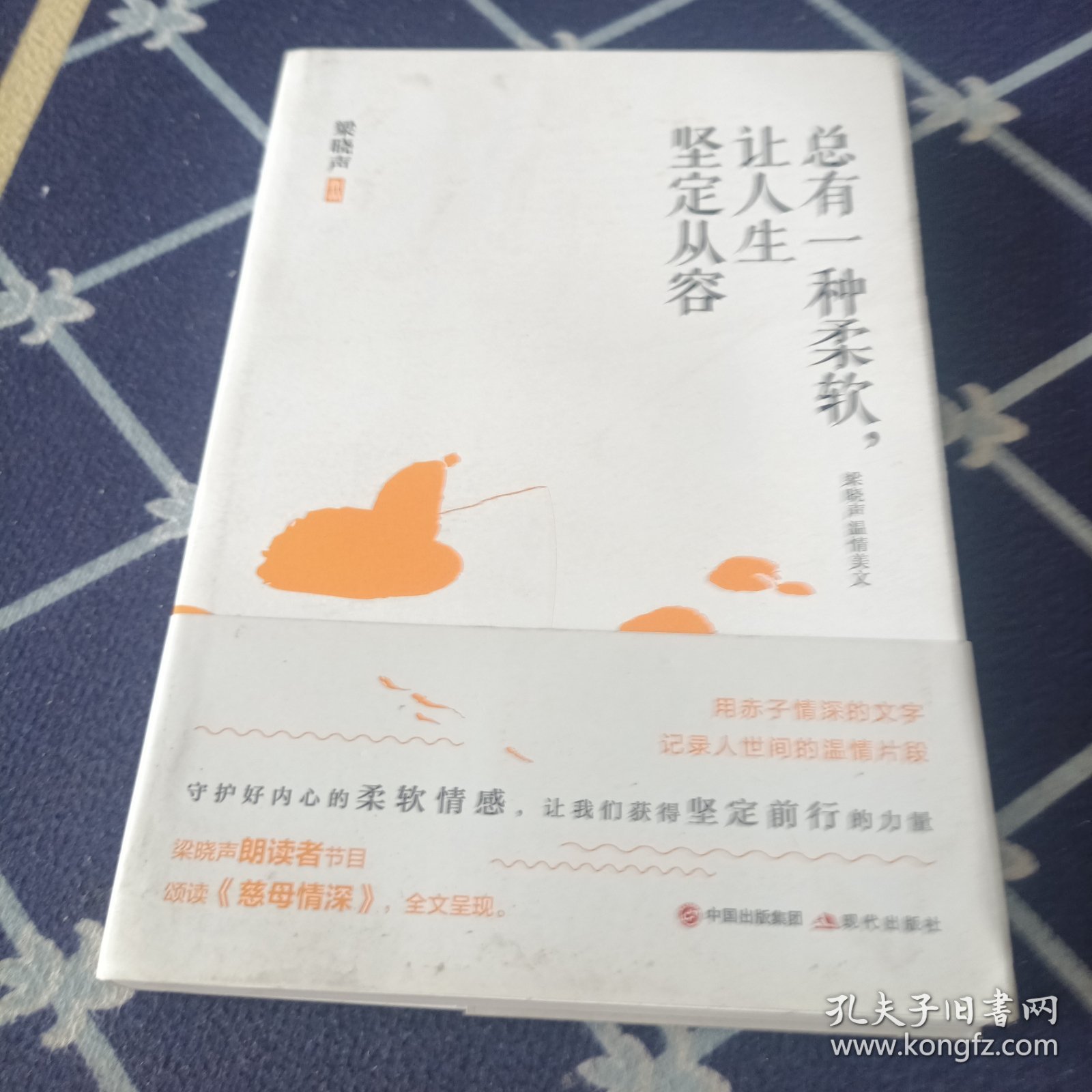 总有一种柔软，让人生坚定从容（梁晓声朗读者节目颂读《慈母情深》，全文呈现）
