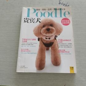 Poodle 贵宾犬