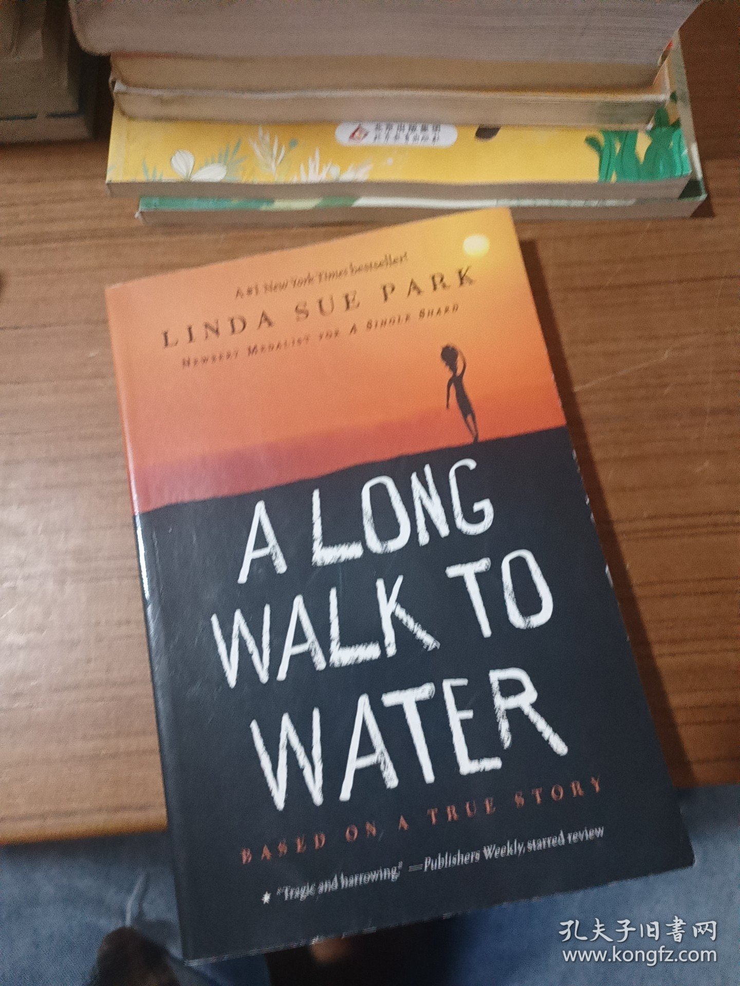 A Long Walk to Water