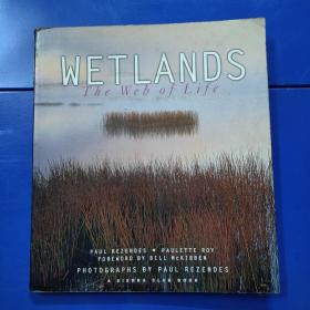 WETLANDS