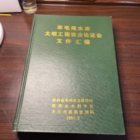 羊毛湾水库大坝工程安全论证会文件汇编