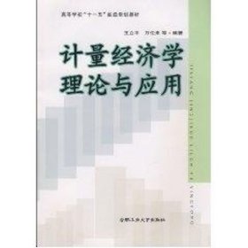 计量经济学理论与应用