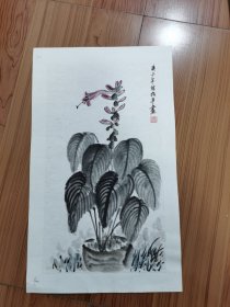 国画花卉一幅