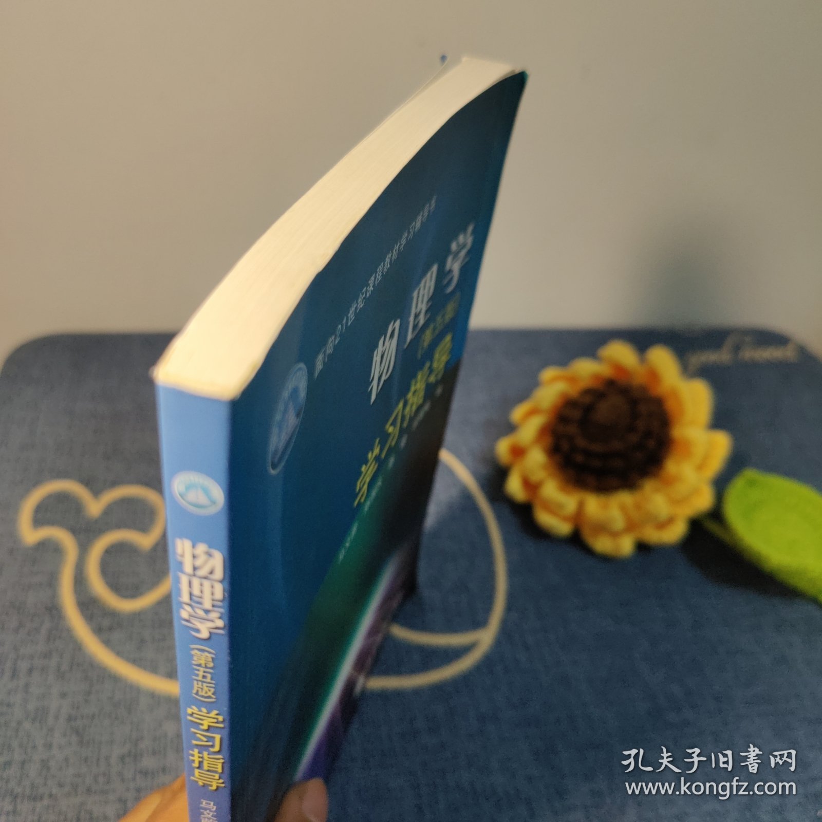 物理学（第五版）学习指导