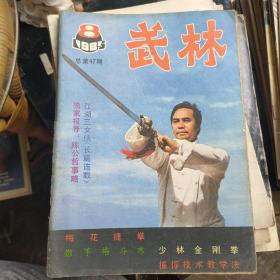 武林1985年第8期