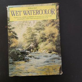 WET WATERCOLOR湿水彩