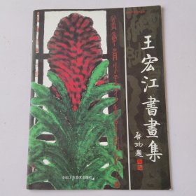 王宏江书画集