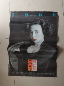 老挂历： 1995年 ：影视红星（美女明星）（12张缺3，黄超 傅艺伟 郑爽 张琪 周洁 宁静 陈红 吴友芳等） 多网合售