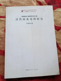 《新疆通史》研究丛书：清代西北屯田研究