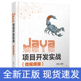 JAVA项目开发实战（微视频版）