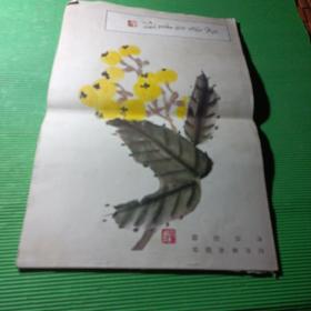 荣宝斋画谱 （八）花卉草虫部分