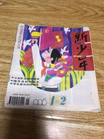 新少年杂志1995年第1-2期