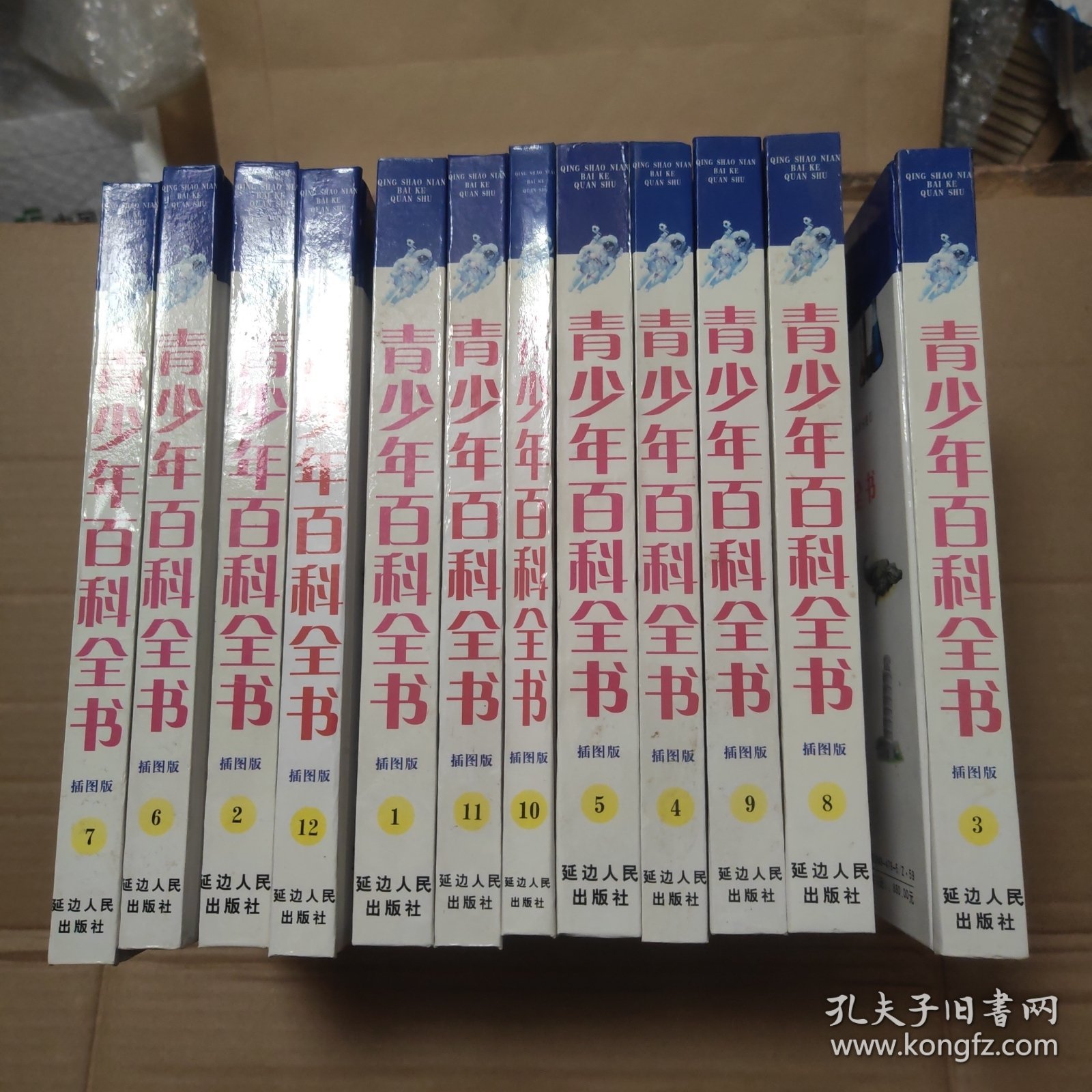 青少年百科全书（全12册）