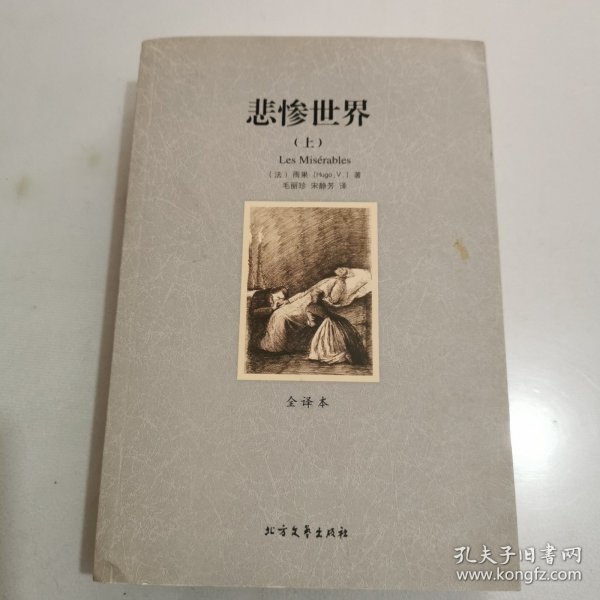 世界文学名著:悲惨世界(全译本)(套装共2册)