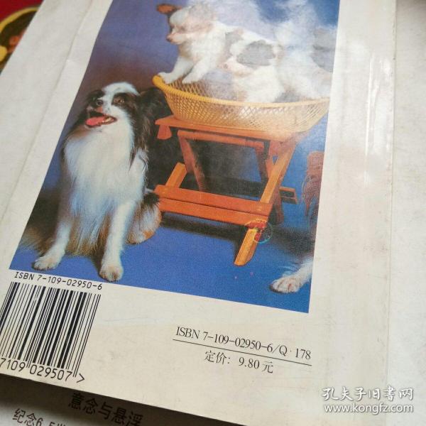 训犬指南