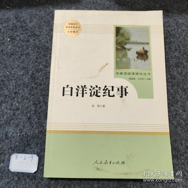 白洋淀纪事 名著阅读课程化丛书（统编语文教材配套阅读）七年级上