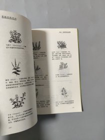 菜园里的学问：有机园艺方法