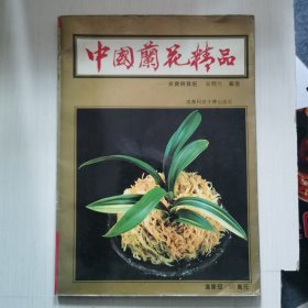 中国兰花精品:投资与栽培