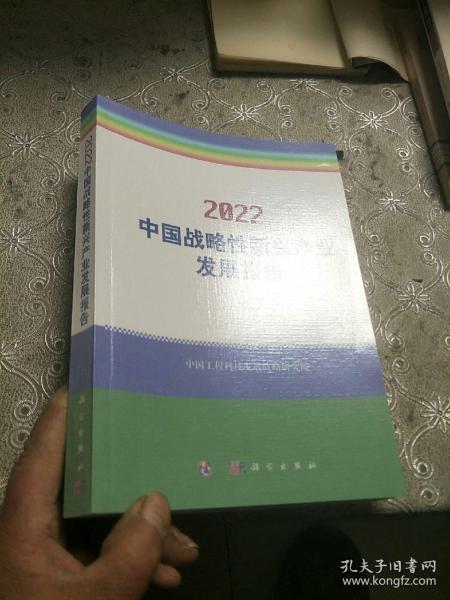 2022中国战略性新兴产业发展报告(平装本)