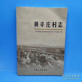 黄辛庄村志